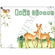 ΒΑΒΥ SHOWER