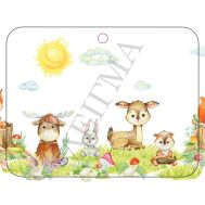 ΖΩΑΚΙΑ