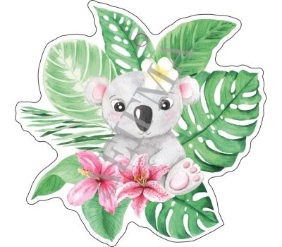 ΚΟΑΛΑ ΣΕ ΦΥΛΛΑ
