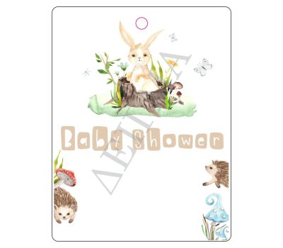 BABY SHOWER 3