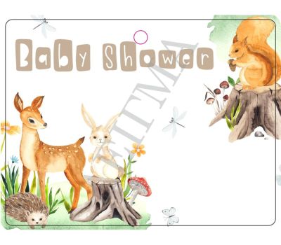 ΒΑΒΥ SHOWER 2